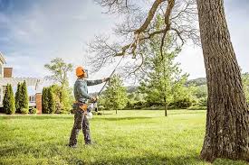 Best Lawn Drainage Solutions  in Sylvester, GA